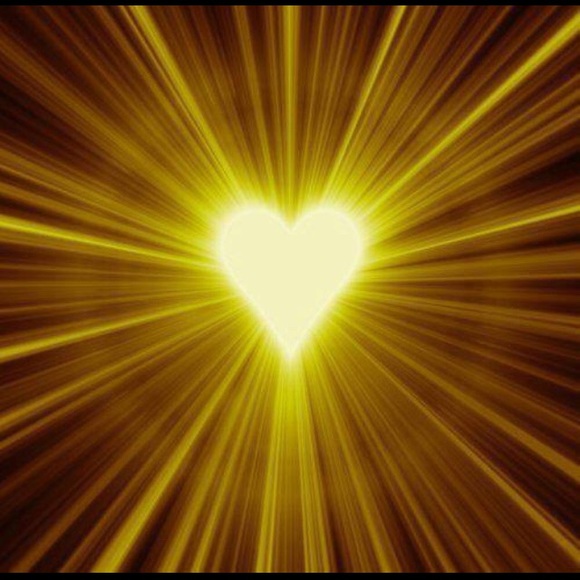 COPY - Meet your Posher, Jax - Picture 8 of 16